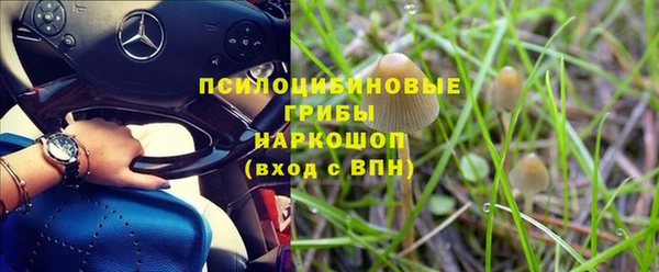 прущий лед Верея