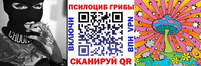 Купить где  Щигры  Псилоцибиновые грибы мухоморы 